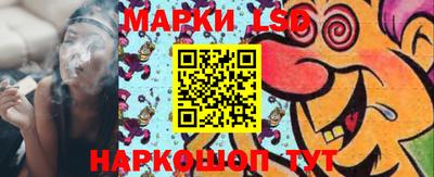 apvp Новодвинск