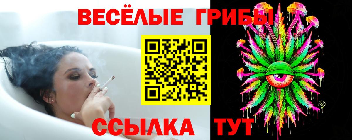 Тверь  Галлюциногенные грибы ЛСД  Вход с VPN 